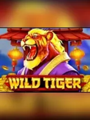Wild Tiger